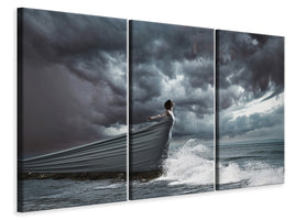 3-piece-canvas-print-andromeda