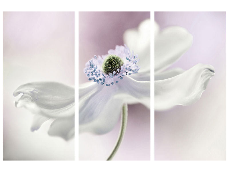 3-piece-canvas-print-anemone-breeze