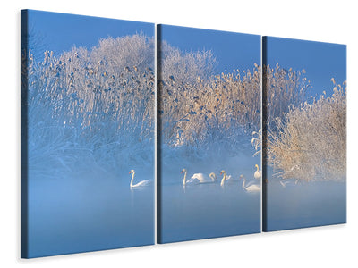 3-piece-canvas-print-blue-swan-lake