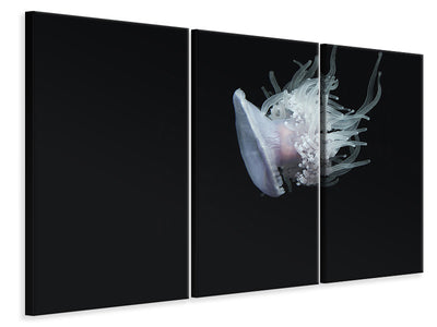 3-piece-canvas-print-fascinating-jellyfish-xl