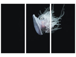 3-piece-canvas-print-fascinating-jellyfish-xl
