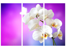 3-piece-canvas-print-flower-power-orchid