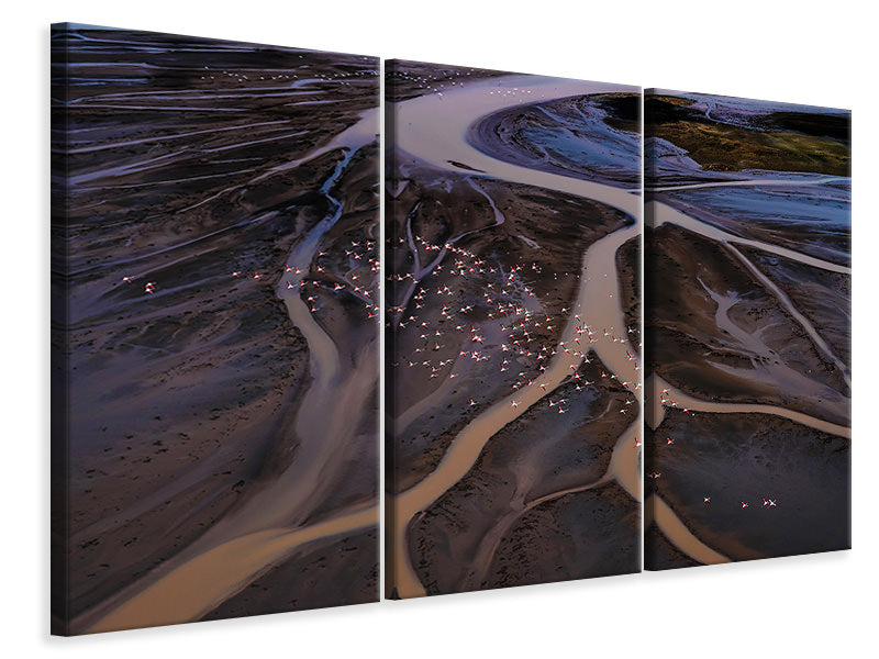 3-piece-canvas-print-flying-over-lake-magadi-i