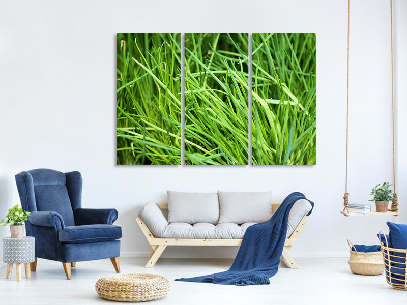 3-piece-canvas-print-fresh-chives-xl