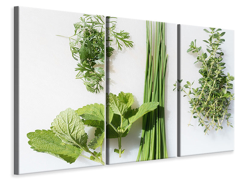 3-piece-canvas-print-fresh-herbs