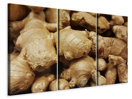 3-piece-canvas-print-ginger-tubers