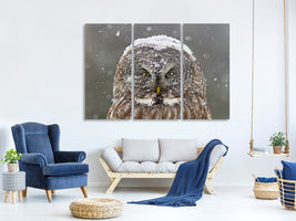 3-piece-canvas-print-great-grey-owl-winter-portrait