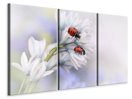 3-piece-canvas-print-ladybirds