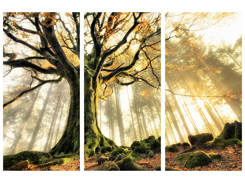 3-piece-canvas-print-november