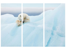 3-piece-canvas-print-polar-bear-grooming