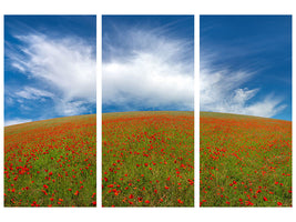 3-piece-canvas-print-red-poppies