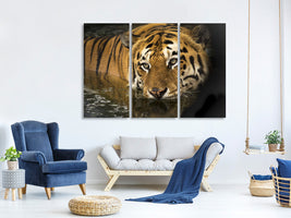 3-piece-canvas-print-tiger-in-the-water