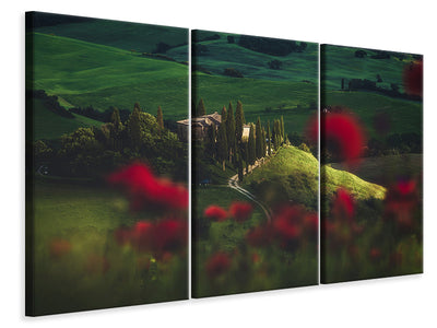 3-piece-canvas-print-tuscany-spring-blossoms