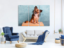 3-piece-canvas-print-typical-chihuahua