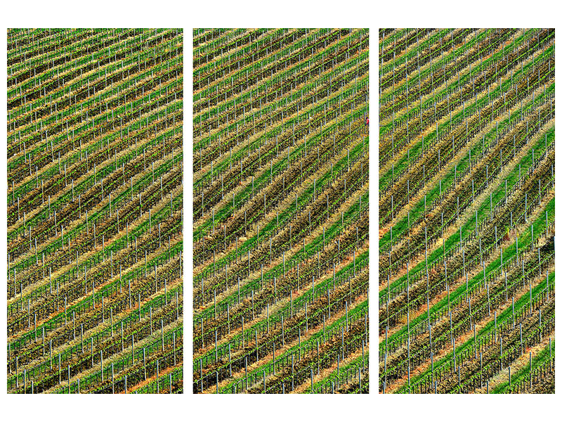 3-piece-canvas-print-vineyard