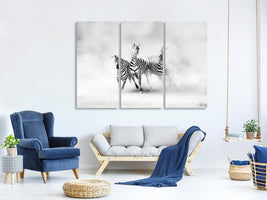 3-piece-canvas-print-zebras