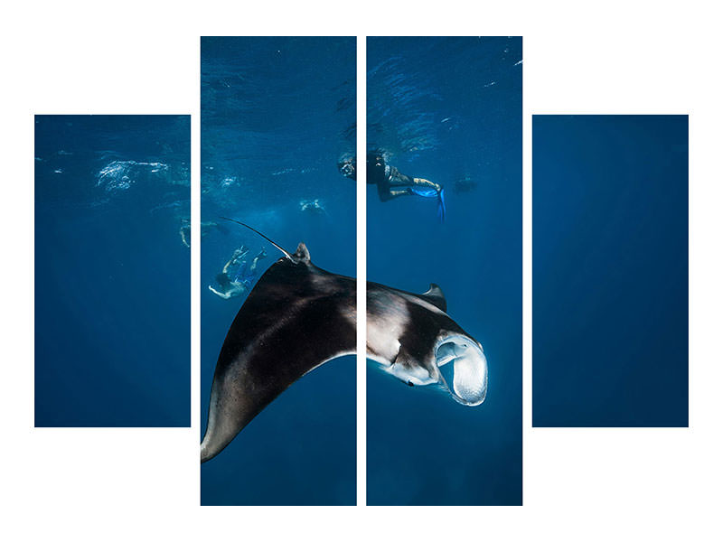 4-piece-canvas-print-manta-ray-ii