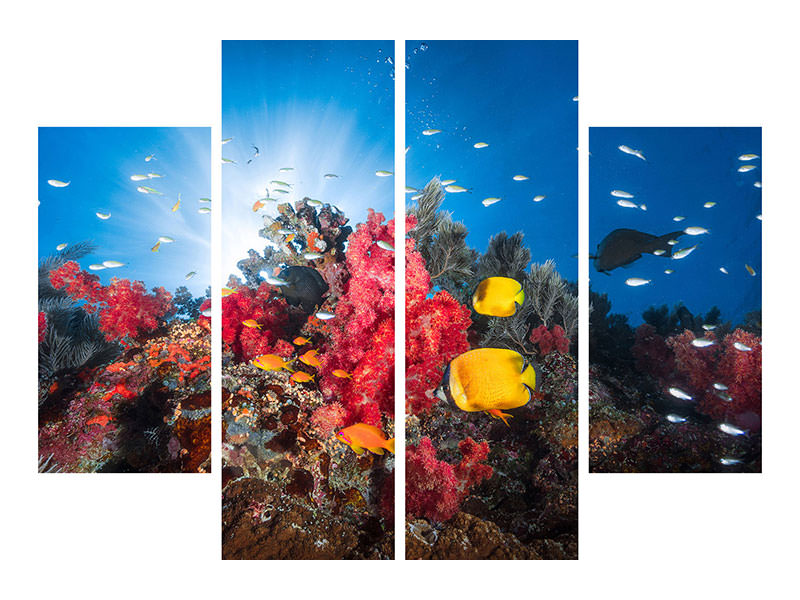 4-piece-canvas-print-reef-life