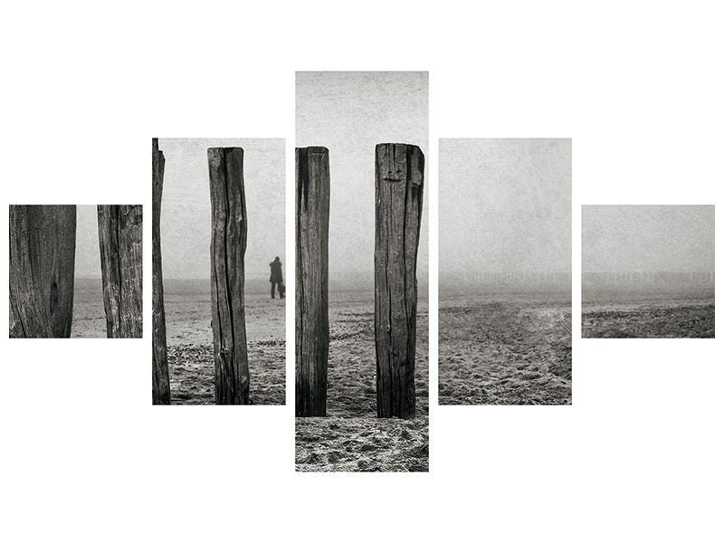 5-piece-canvas-print-astray