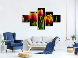 5-piece-canvas-print-colorful-tulips