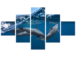 5-piece-canvas-print-dolphins