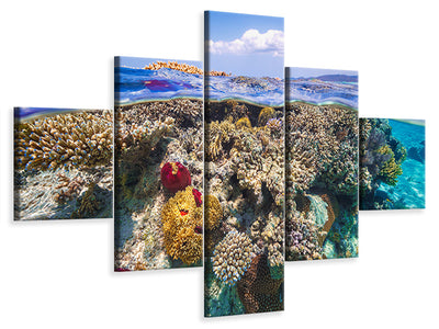 5-piece-canvas-print-mayotte-the-reef