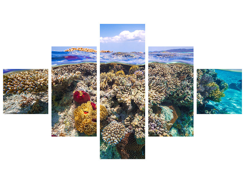 5-piece-canvas-print-mayotte-the-reef