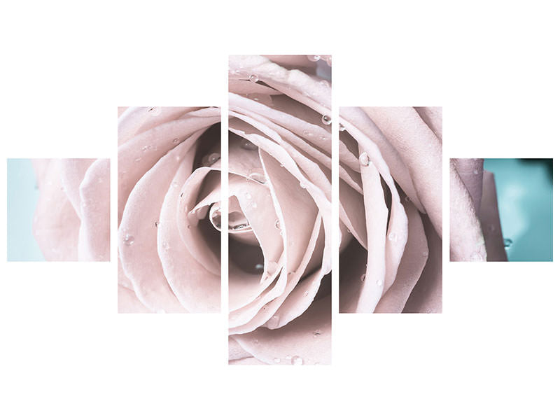 5-piece-canvas-print-pastel-rose