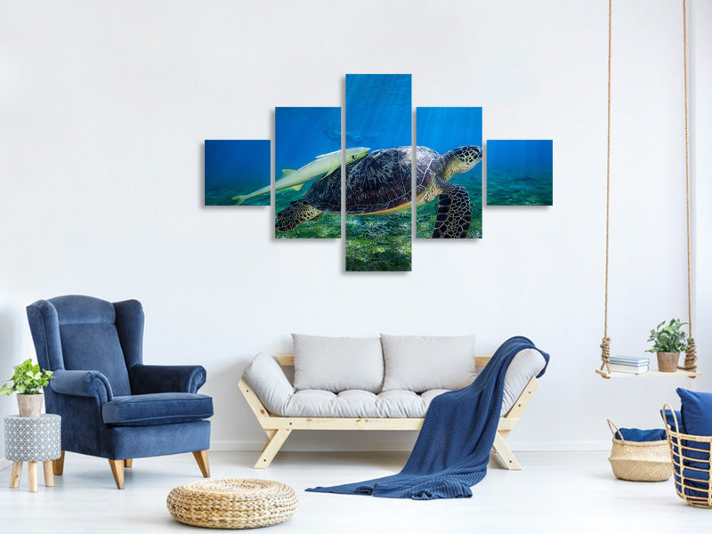 5-piece-canvas-print-sea-turtle