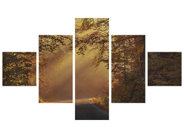 5-piece-canvas-print-sunbeams-in-the-forest