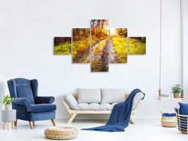 5-piece-canvas-print-the-forest-path