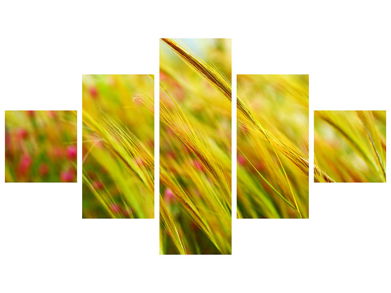 5-piece-canvas-print-the-wheat-field