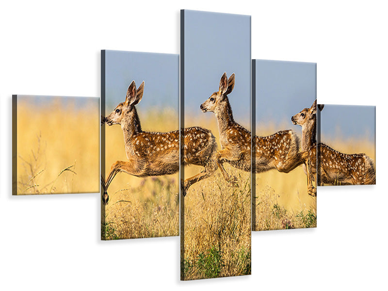 5-piece-canvas-print-tripple-jump