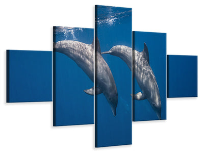 5-piece-canvas-print-two-bottlenose-dolphins