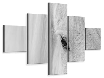 5-piece-canvas-print-whisper-of-iceland