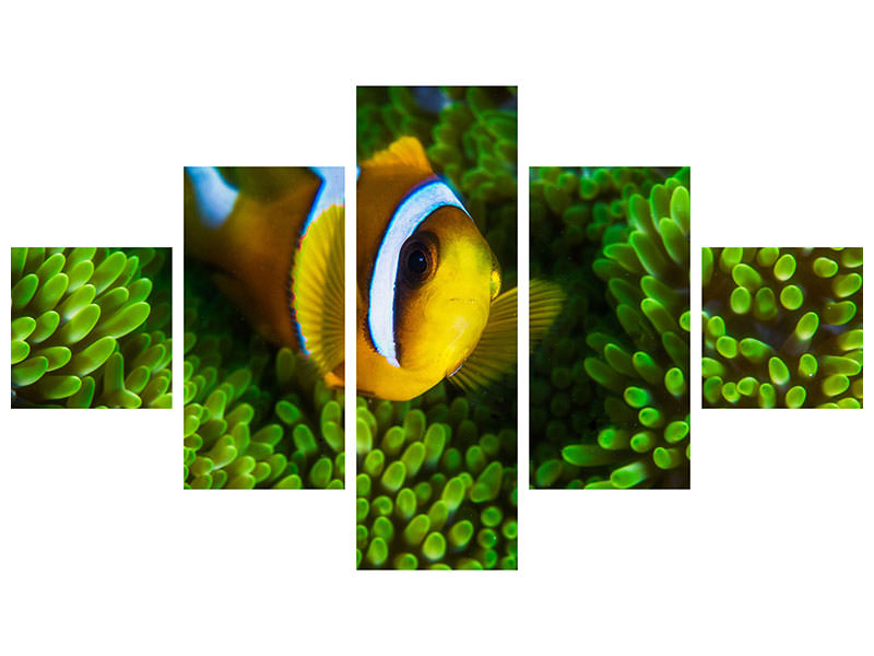 5-piece-canvas-print-yellow-clownfish-on-green-anemon