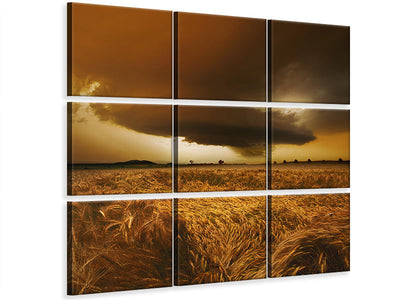 9-piece-canvas-print-spaetsommer-stimmung