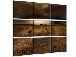9-piece-canvas-print-straw-country