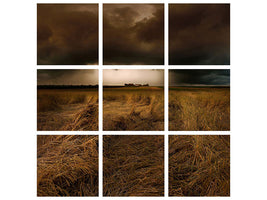9-piece-canvas-print-straw-country
