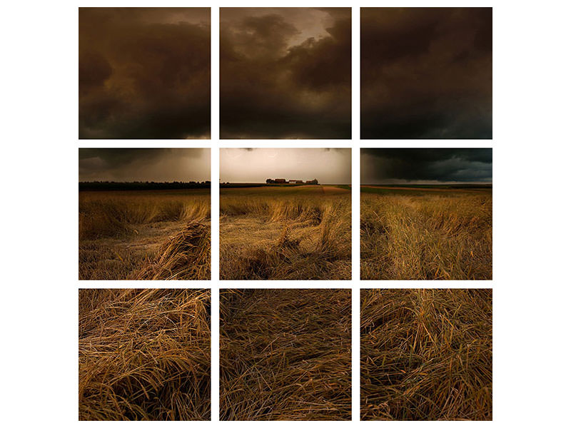 9-piece-canvas-print-straw-country