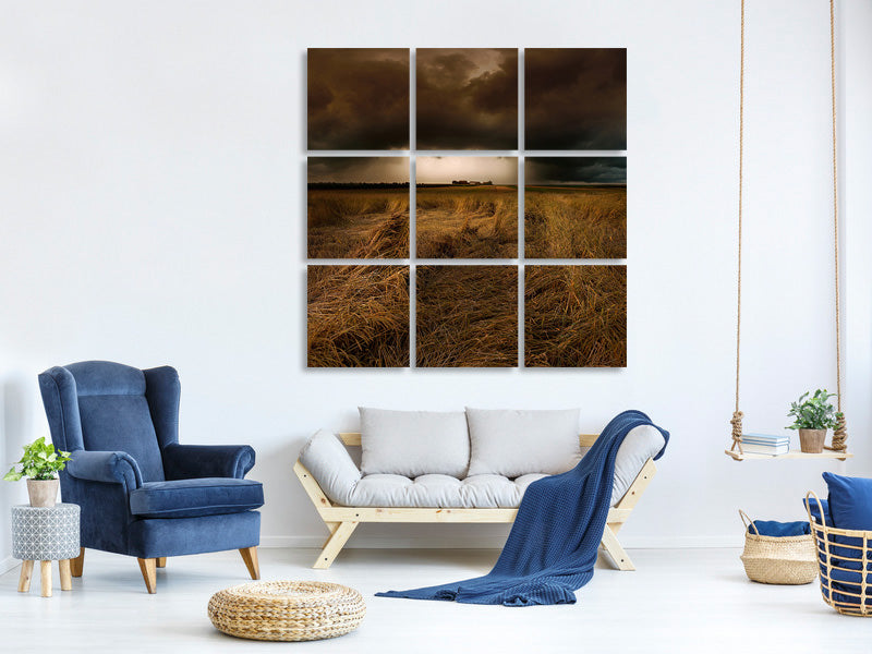9-piece-canvas-print-straw-country