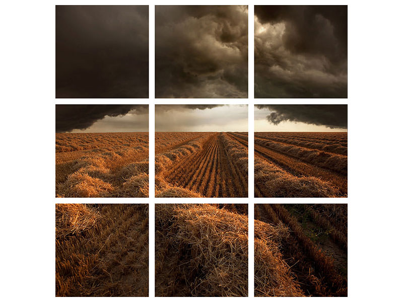 9-piece-canvas-print-untitled-lxvii