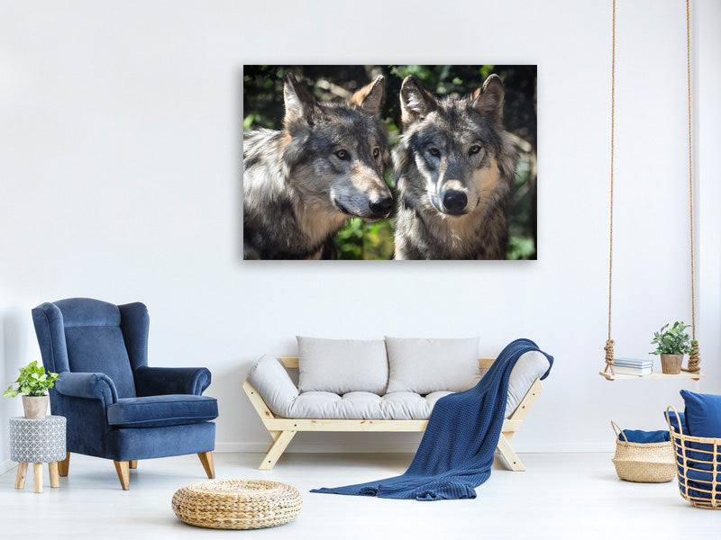 canvas-print-2-wolves