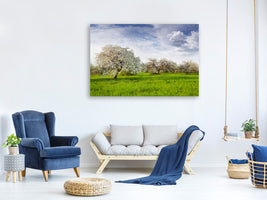 canvas-print-apple-tree-garden