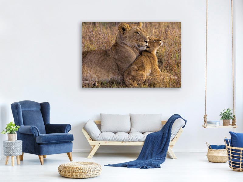 canvas-print-baby-lion-with-mother-x