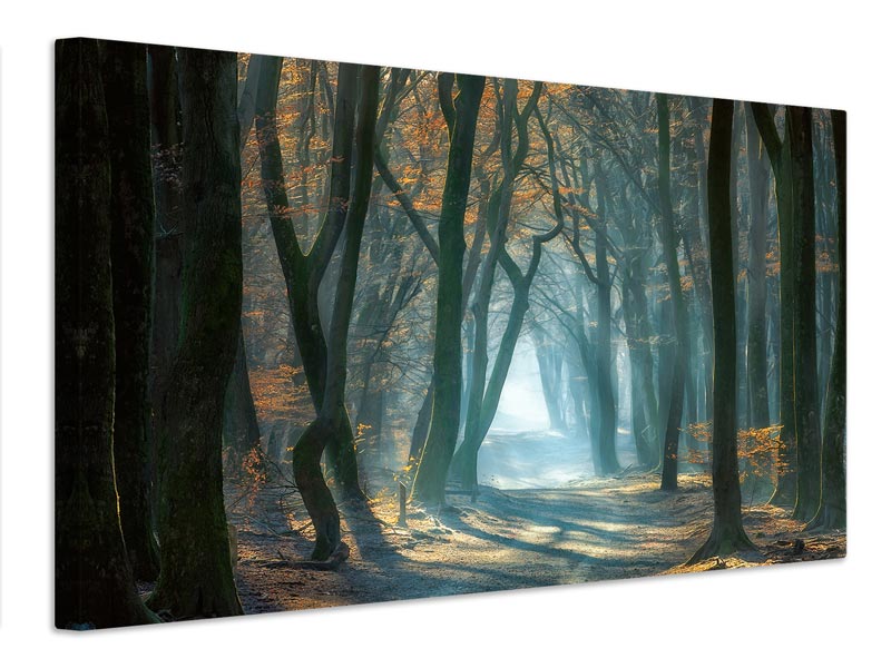 canvas-print-cold-light-x