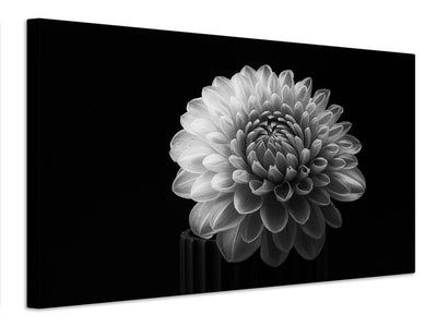 canvas-print-dahlia-x