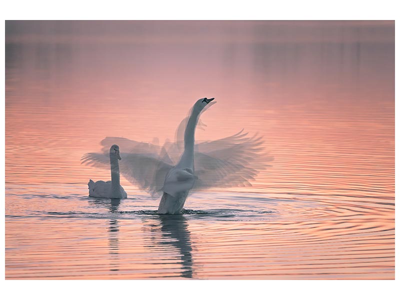 canvas-print-dancing-for-you-x