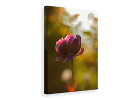 canvas-print-dark-tulips-beauty