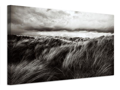 canvas-print-dunes-of-grass-x